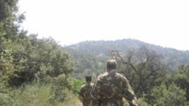 Seven terrorists killed east of Algiers