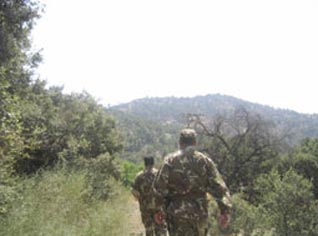 Seven terrorists killed east of Algiers