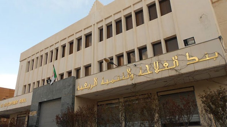 الثغرة المالية ببنك “بدر” في الوادي بلغت 23 مليارا