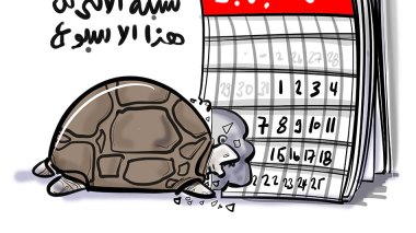 شبكة الانترنت