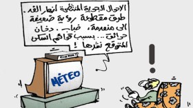 كاريكاتير العدد 3408