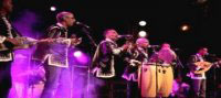 Bechar, au rythme des musique et danse Diwane