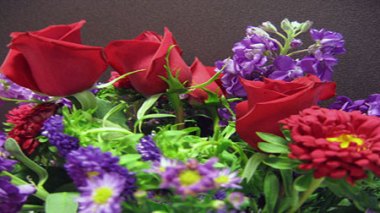 Blida : confection du plus grand tapis de fleurs naturelles à l’échelle nationale