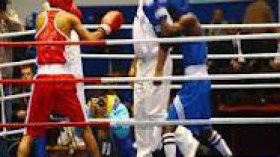 Championnat d’Algérie de boxe : plus de 700 pugilistes aux épreuves de la phase zonale