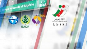 متابعات قضائية ضد أصحاب مشاريع “أونساج” المفلسين قبل ماي!