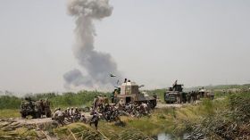 معركة الفلوجة