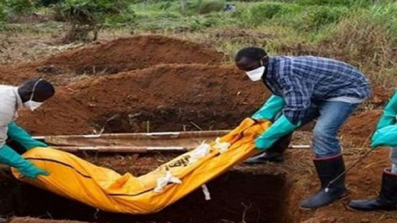 وفاة 20 شخصا بسبب تفشي الطاعون في مدغشقر