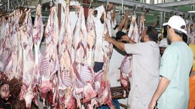 “جزائر الخير” توزع أضاحي ومساعدات على 20 ألف معوز