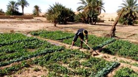 زخات المطر تكشف عيوب التنمية بالمغير في الوادي