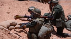 ضبط 173 كلغ من الكيف المعالج بكل من تلمسان والبيض