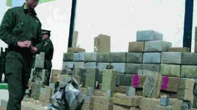 العثور على 15 قنطارا من الكيف مخبأة وسط الأحراش بمغنية