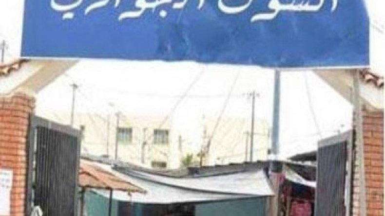 استلام أسواق جوارية للخضر والفواكه بعدة بلديات خلال 2016 بالوادي
