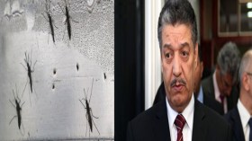بوضياف ينفي تسجيل حالات إصابة بفيروس “زيكا” في الجزائر