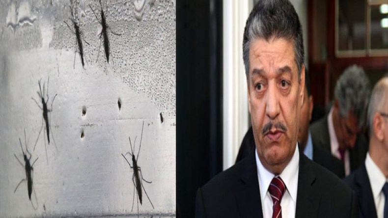 بوضياف ينفي تسجيل حالات إصابة بفيروس “زيكا” في الجزائر