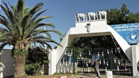 شركة الاستثمار الفندقي لتسيير حديقة التسلية لبن عكنون