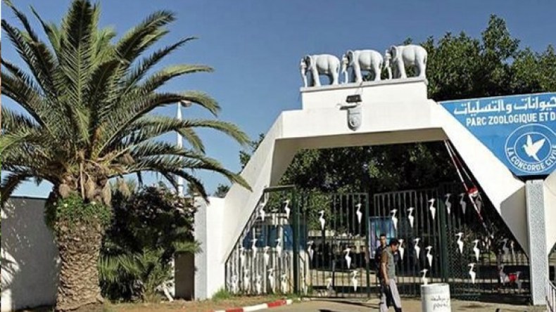 شركة الاستثمار الفندقي لتسيير حديقة التسلية لبن عكنون