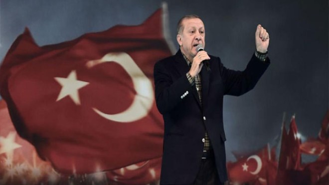 أردوغان: هولندا ستدفع ثمن إطلاقها الكلاب على الأتراك