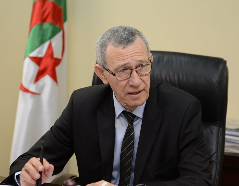 Belhimer: «L’Algérie est en mesure de désamorcer les mines semées le long de ses frontières»