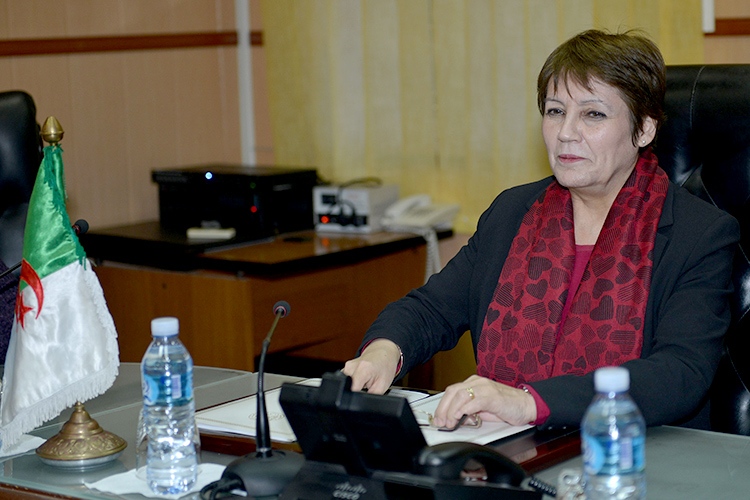 Education minister: teaching in primary schools will be in Arabic