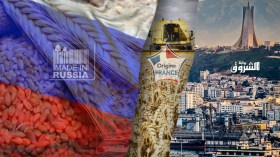 Horror In France Stemming From Algeria’s Resolve To Import Russian Wheat