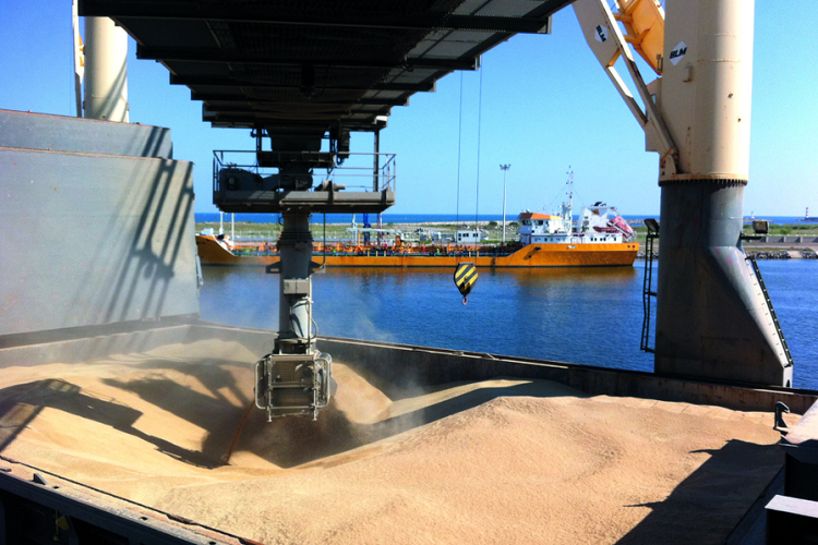 Des analyses révèlent que le blé importé n’est pas avarié