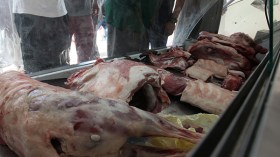 حجز 148 كلغ من اللحوم الفاسدة خلال رمضان بإيليزي