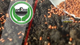 بذور معدلة جينيا تهدد صحة الجزائريين