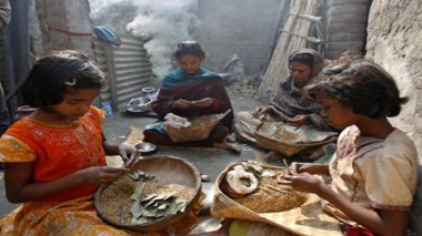 Multiplier les efforts pour lutter contre le travail des enfants dans l’agriculture (FAO)