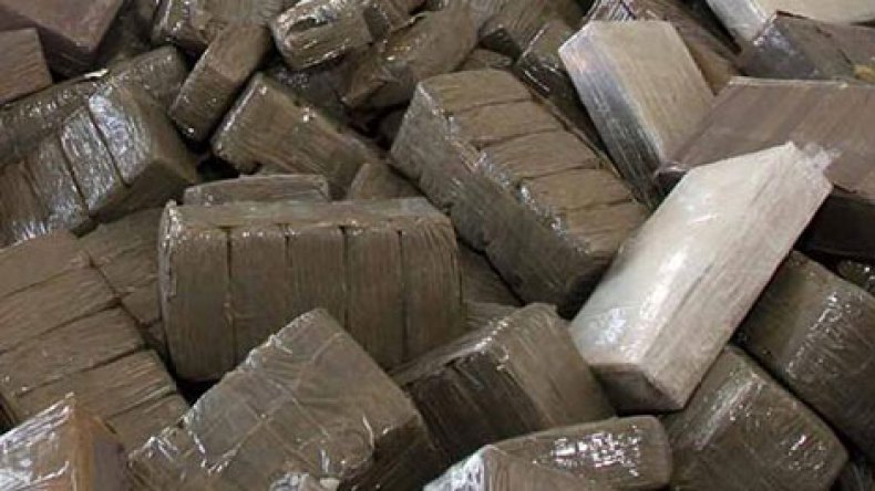 حجز 59 طن من القنب الهندي خلال أربعة أشهر