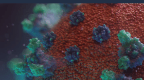 موقع مغاربي وعربي وإفريقي متخصص في رصد أخبار كورونا