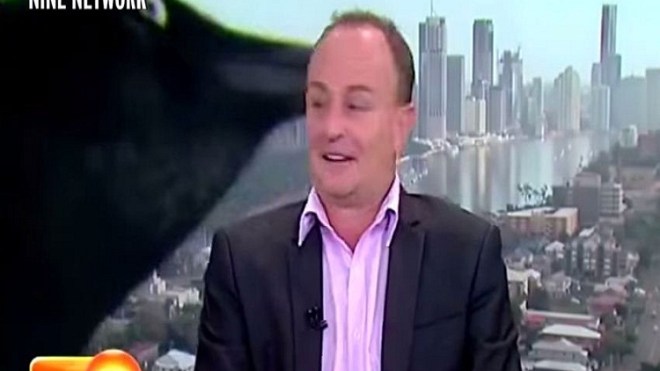 غراب ضخم يباغت برنامجا تلفزيونيا ويثير الرعب!