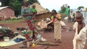 أفريقيا الوسطى : مآسي النازحين المسلمين