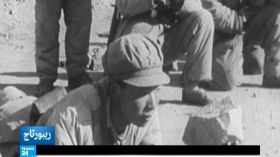 كم كان عدد ضحايا الثورة الثقافية الصينية؟