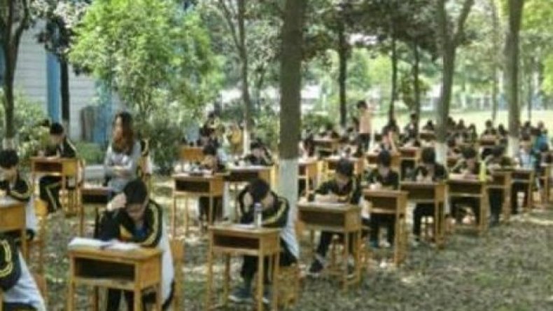 مدرسة صينية تجري امتحاناتها في غابة لمنع الطلاب من الغش