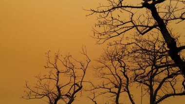 Essais nucléaires à Reggane: des particules radioactives retrouvées en France