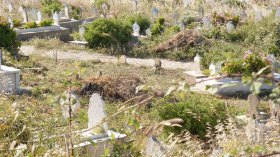 العثور على يد رضيع داخل قارورة بغرض السحر في مقبرة بوهران