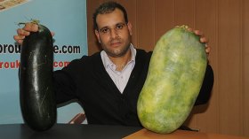 فلاح من بومرداس يطمح لدخول موسوعة غينيس بأكبر حبة خيار