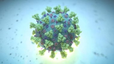 Le Coronavirus sera avec nous pour toujours