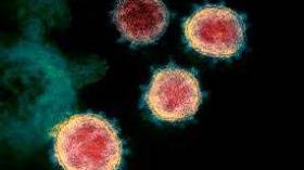 Et si la grippe favorisait la propagation du Coronavirus?
