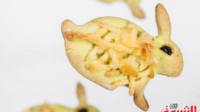 مملحات على شكل أرانب