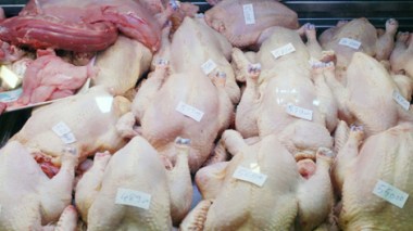 Ramadhan-2013: le poulet cédé à 230 DA