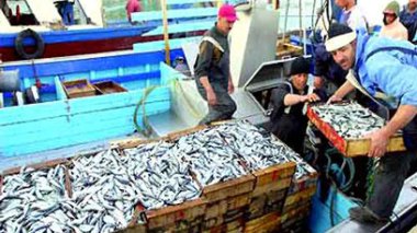 Flambée du prix de la sardine : le ministre s’explique