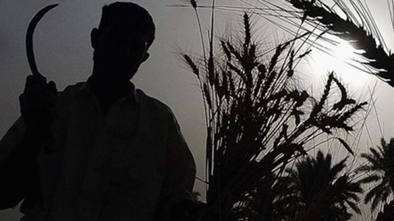 هذه هي مصادر تمويل “داعش” غير النفطية