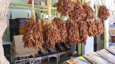 Le ministère du Commerce dément la suspension d’exportation des dattes