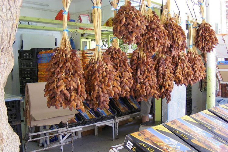 Le ministère du Commerce dément la suspension d’exportation des dattes