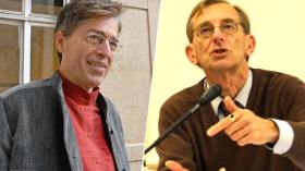 ما رأي الخبيرين الفرنسيين؟