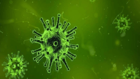 Covid-19: l’Algérie entame la production de kits de dépistage