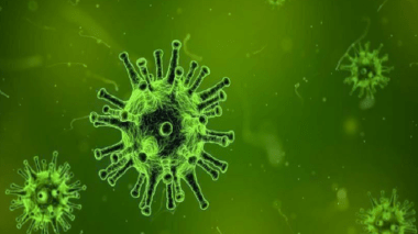 Covid-19: l’Algérie entame la production de kits de dépistage