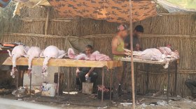 بطالون يشيّدون “باطوارات” على قارعة الطريق!