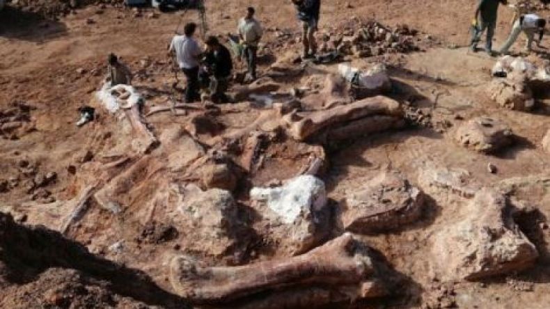 عصر الديناصورات أطول بكثير مما يعتقد